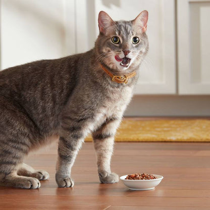 Meow Mix Tenders in Sauce Tuna & Shrimp 2.75oz