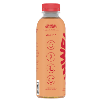 Unwell Orange Hibiscus Hydration Drink 16.9oz Btl
