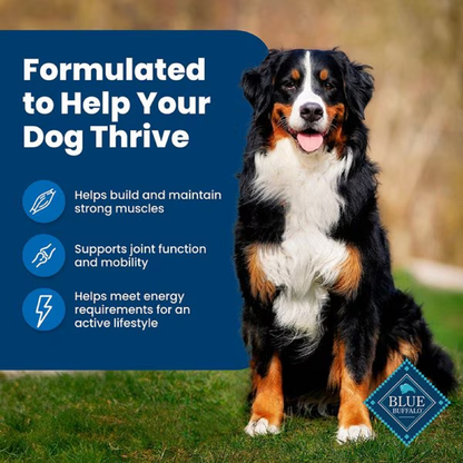 Blue Buffalo Life Protection Chicken and Brown Rice Dry Dog Food 15lbs