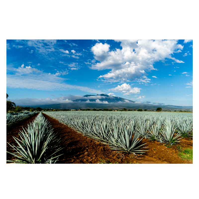 Hiatus Tequila Blanco 750ml