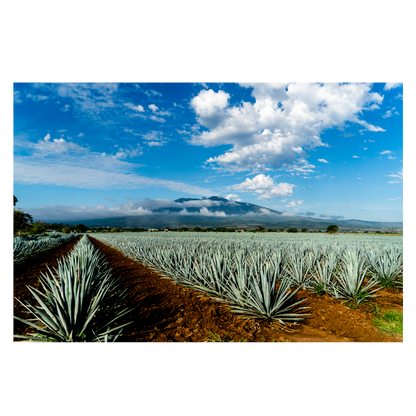 Hiatus Tequila Blanco 750ml