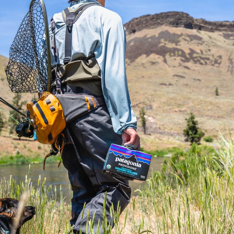 Patagonia Kernza Golden Brew Non-Alcoholic (6PKC 12OZ)