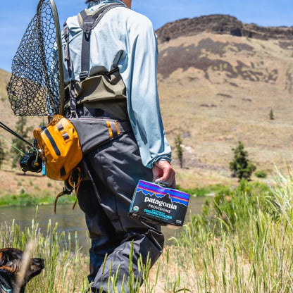 Patagonia Kernza Golden Brew Non-Alcoholic (6PKC 12OZ)