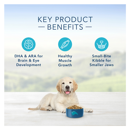 Blue Buffalo Puppy Chicken and Brown Rice Dry Dog Food 5lb