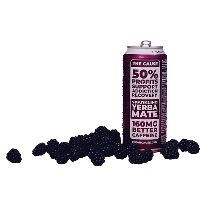 CLEAN Cause Blackberry Organic Sparkling Yerba Maté 16oz Can
