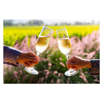 Mumm Sparkling Wine Brut Prestige 750mL, 12.5% ABV