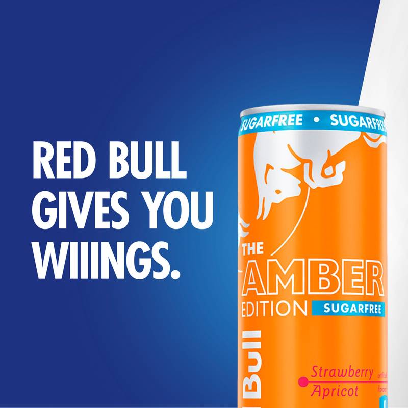 Red Bull Sugar Free Amber Edition Strawberry Apricot Energy Drink 24pk 12oz Can- XL