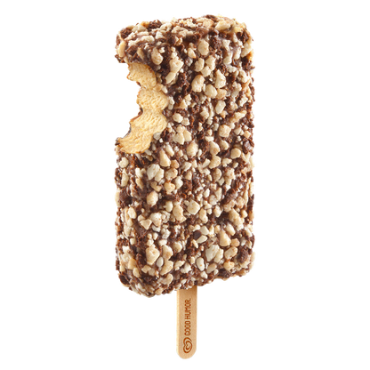 Reese's Peanut Butter Frozen Dairy Dessert Bar 6 ct