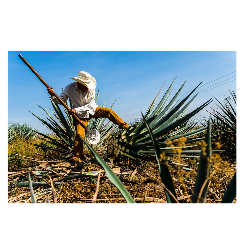 Hiatus Tequila Reposado 750ml