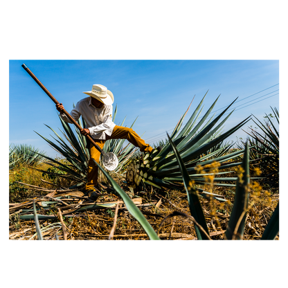 Hiatus Tequila Reposado 750ml