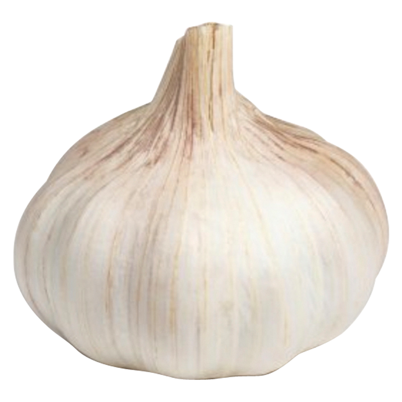 Garlic - 1ct