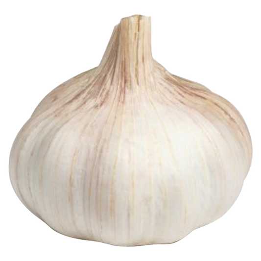 Garlic - 1ct