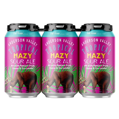 Anderson Valley Brewing Company Hazy Tropical Sour Ale 6pk 12oz Can 4.2% ABV
