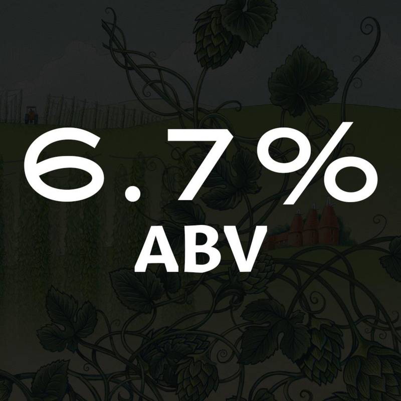 Four Peaks Hop Knot IPA 15pk 12oz Cans