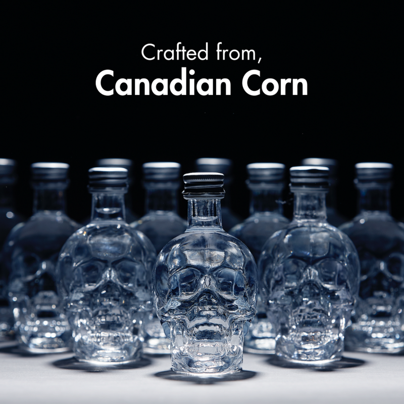 Crystal Head Vodka 50ml (80 Proof)