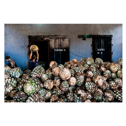 Hiatus Tequila Reposado 750ml