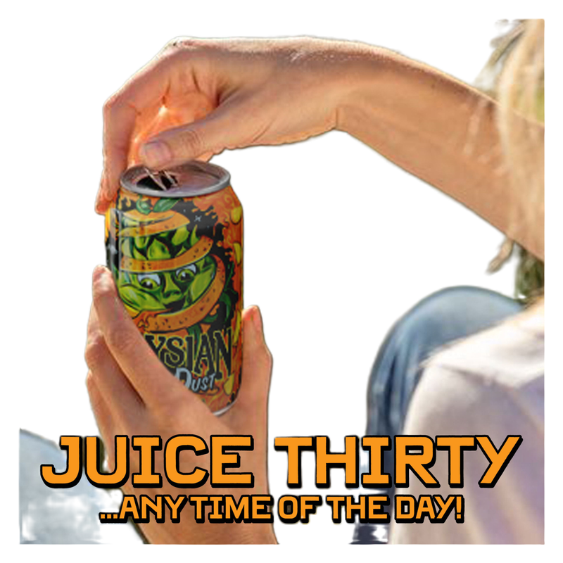 Elysian Juice Dust IPA (6PKC 12OZ) (6PKC 12 OZ)
