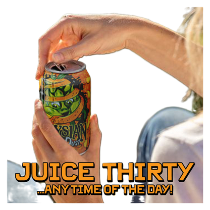Elysian Juice Dust IPA (6PKC 12OZ) (6PKC 12 OZ)