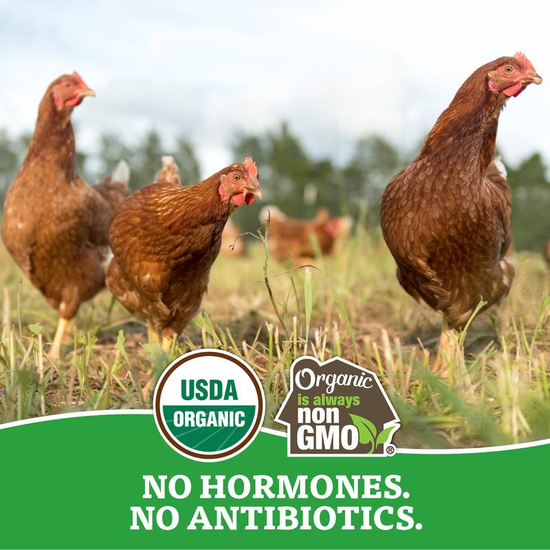 Organic Valley Large Free Range Brown Organic Eggs - 12ct