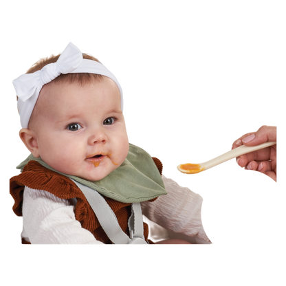 Gerber 1st Foods Sweet Potato Baby Food, 2oz. 2-Pack