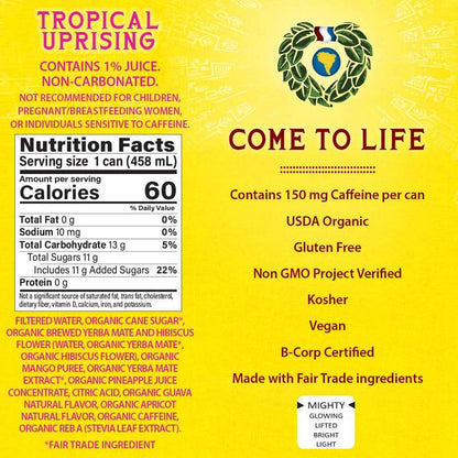 Guayaki Yerba Mate Organic Tropical Uprising 15.5oz Can