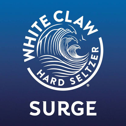 White Claw Hard Seltzer Surge Blackberry Single 19.2oz Can 8% ABV