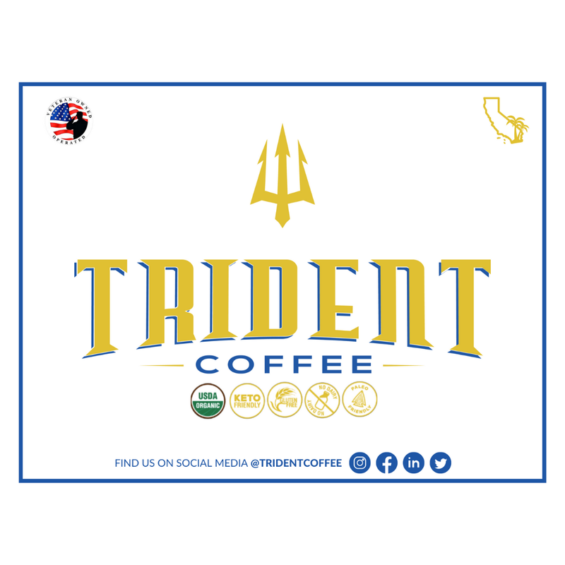 Trident Coffee Mexican Mocha Organic Nitro Cold Brew 12oz Can