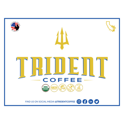 Trident Coffee Mexican Mocha Organic Nitro Cold Brew 12oz Can